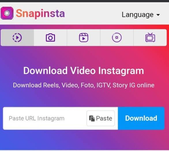 Download Instagram Reels Audio using Snapinsta